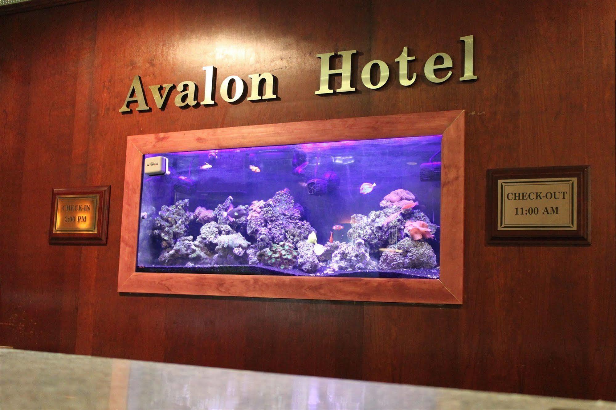 The Avalon Hotel And Conference Center Erie Dış mekan fotoğraf